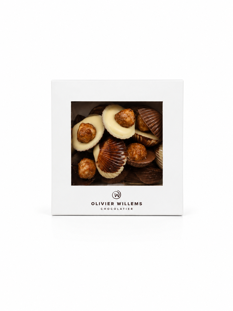 Schelpjes MIX